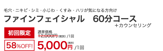 毛穴・ニキビ・シミ・小じわ・くすみ・ハリ　ファインフェイシャル 60分コース+カウンセリング　初回限定58％OFF！　5,000円（税別）/1回